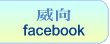 威向facebook